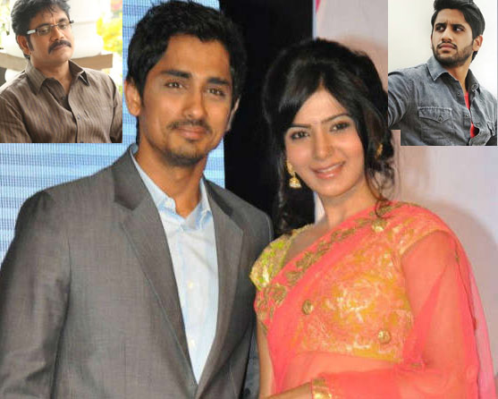 suchi leaks,nagarjuna,siddharth - samantha love,personal photos and videos,naga chitanya  సుచీలీక్స్ నెక్స్ట్ టార్గెట్ ఆ ఇద్దరేనా?